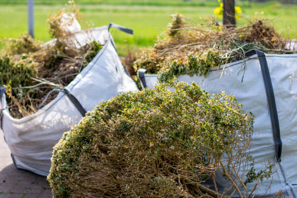 Best Same-Day Junk Removal  in Mount Shasta, CA
